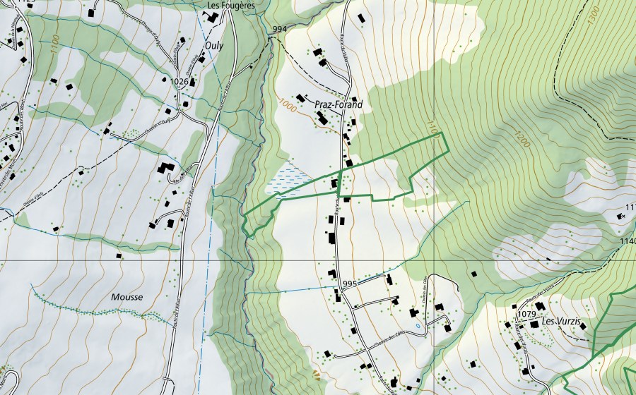 Carte nationale swisstopo avec le périmètre protégé de En Villard (Réserve naturelle)