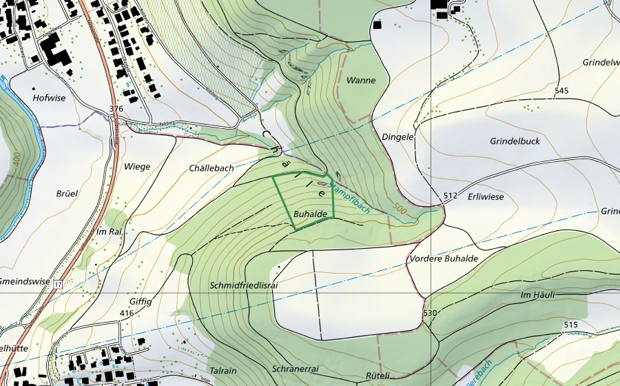 swisstopo national map showing the protected perimeter of Endingen, Buhalde (Nature reserve)