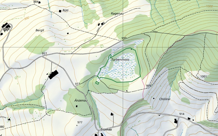 Carta nazionale swisstopo con il perimetro protetto di Enzenau (Riserva naturale)