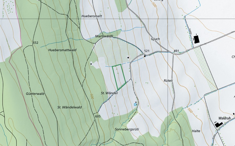 swisstopo national map showing the protected perimeter of Erlosen-Gjuch (Nature reserve)