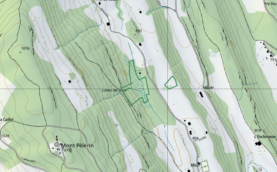 Carte nationale swisstopo avec le périmètre protégé de Es Planoz - Es Côtes de Joux (Réserve naturelle)