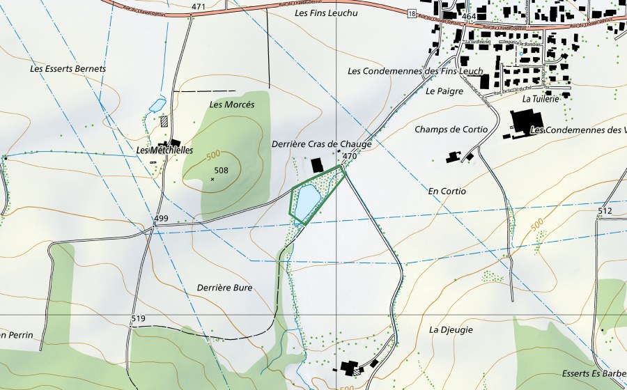 Carte nationale swisstopo avec le périmètre protégé de Etang "En Cortio" (Réserve naturelle)