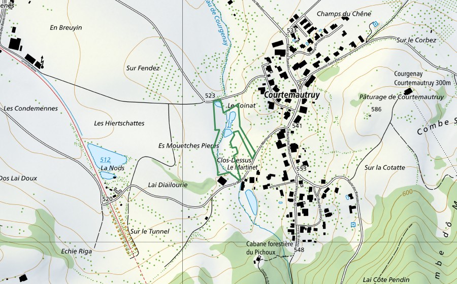 Carte nationale swisstopo avec le périmètre protégé de Etang le Martinet (Réserve naturelle)