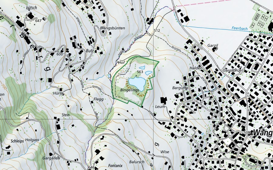 Carte nationale swisstopo avec le périmètre protégé de Feerbach (Réserve naturelle)