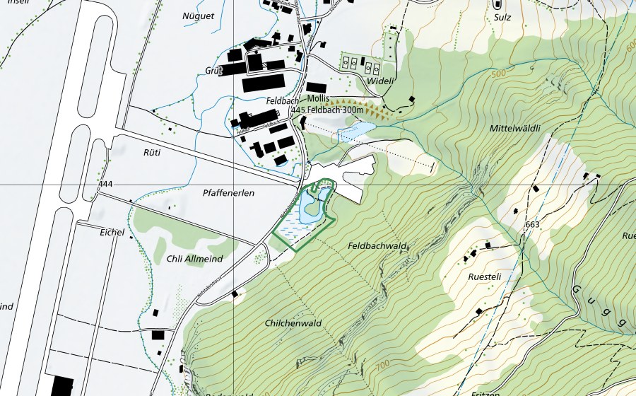 swisstopo national map showing the protected perimeter of Feldbach (Nature reserve)