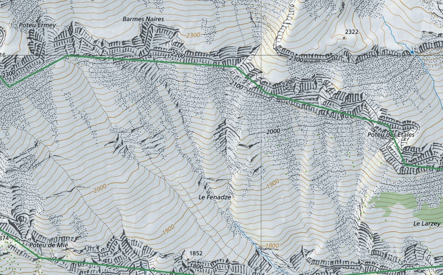 swisstopo national map showing the protected perimeter of Fenadze (Nature reserve)
