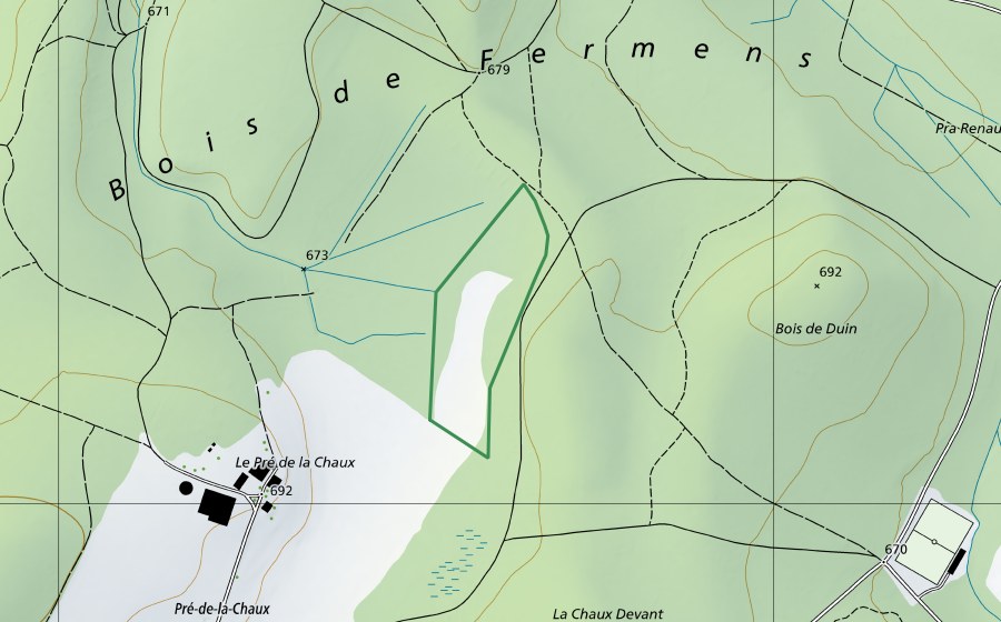 Carte nationale swisstopo avec le périmètre protégé de Fermens (Réserve naturelle)