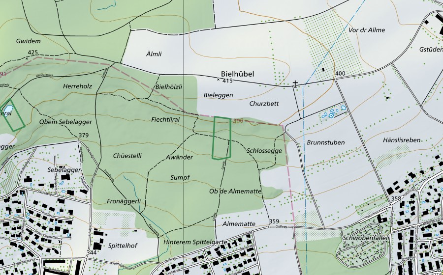 swisstopo national map showing the protected perimeter of Fiechtenrain (Nature reserve)