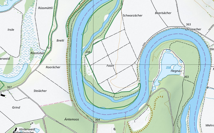 Landeskarte swisstopo mit dem Schutzperimeter von Foort (Naturschutzgebiet)