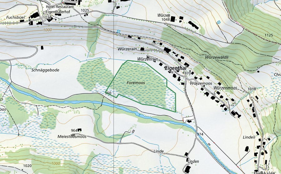 swisstopo national map showing the protected perimeter of Forrenmoos (Nature reserve)