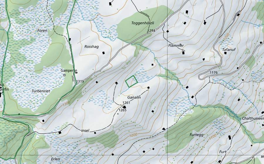 Carta nazionale swisstopo con il perimetro protetto di Ganalin (Riserva naturale)