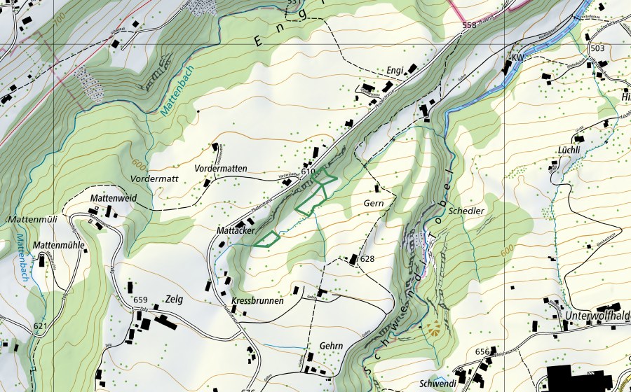 Landeskarte swisstopo mit dem Schutzperimeter von Gehrn (Naturschutzgebiet)