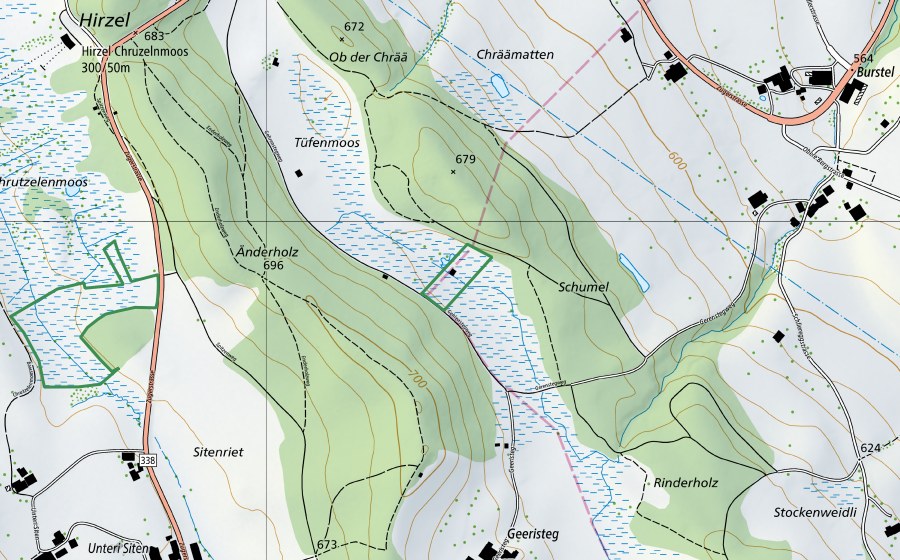 Landeskarte swisstopo mit dem Schutzperimeter von Geristeg (Naturschutzgebiet)