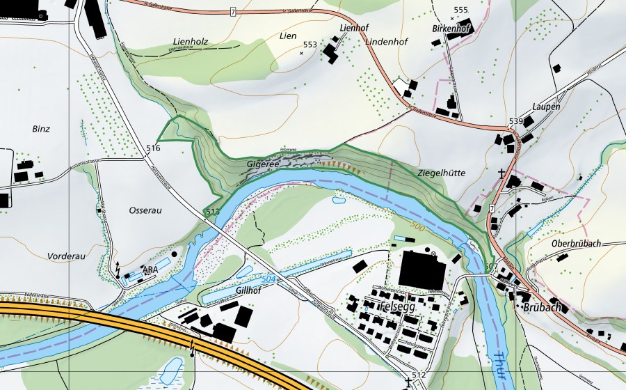 Carte nationale swisstopo avec le périmètre protégé de Gigerrain (Réserve naturelle)