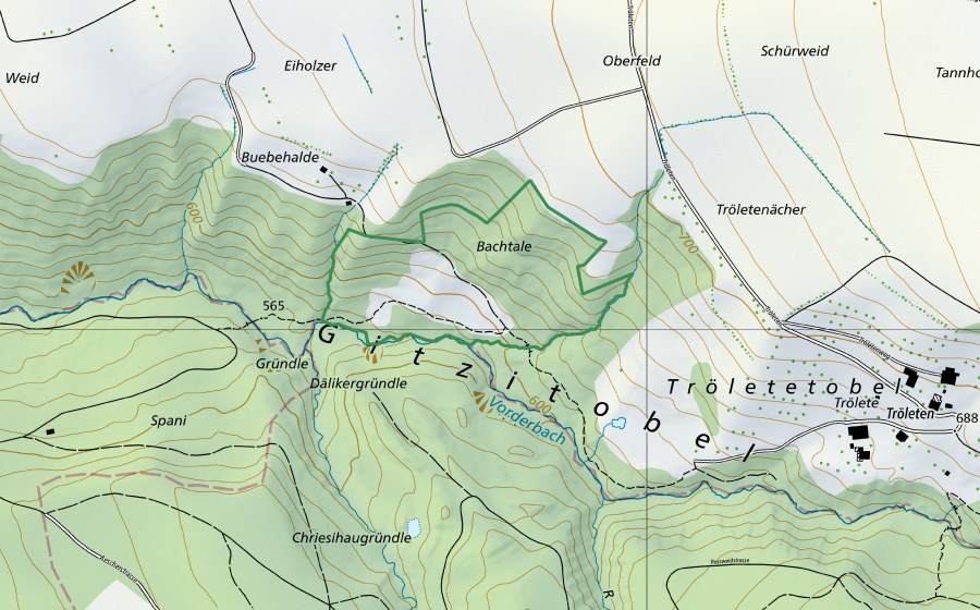 Landeskarte swisstopo mit dem Schutzperimeter von Gitzitobel (Naturschutzgebiet)