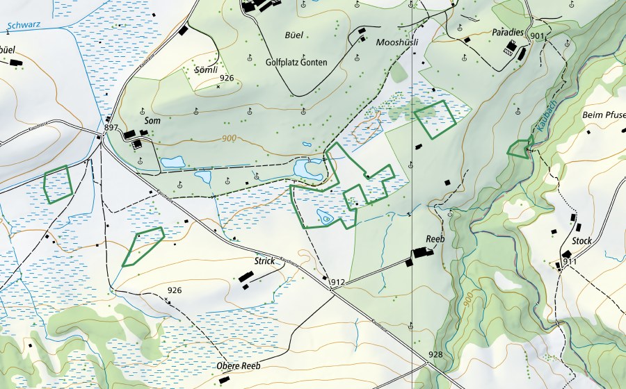 swisstopo national map showing the protected perimeter of Gontenmoos (Nature reserve)