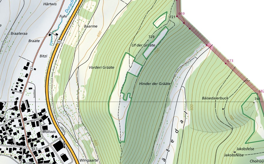 swisstopo national map showing the protected perimeter of ​Grääte (Nature reserve)