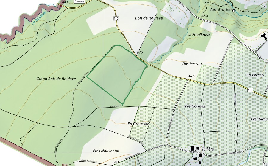 swisstopo national map showing the protected perimeter of Grand Bois de Roulave (Nature reserve)
