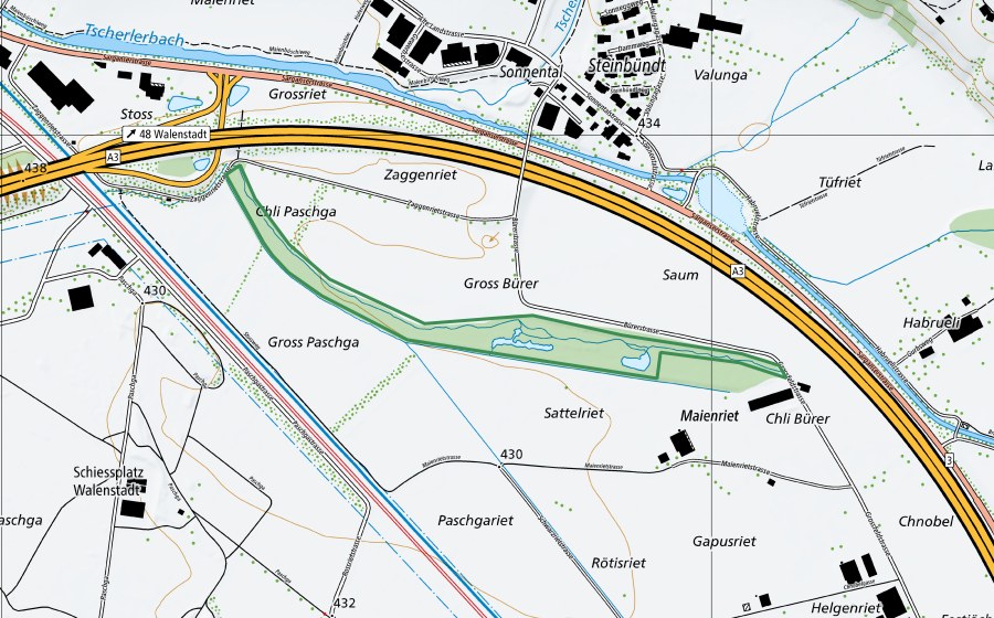 Landeskarte swisstopo mit dem Schutzperimeter von Grossriet (Naturschutzgebiet)