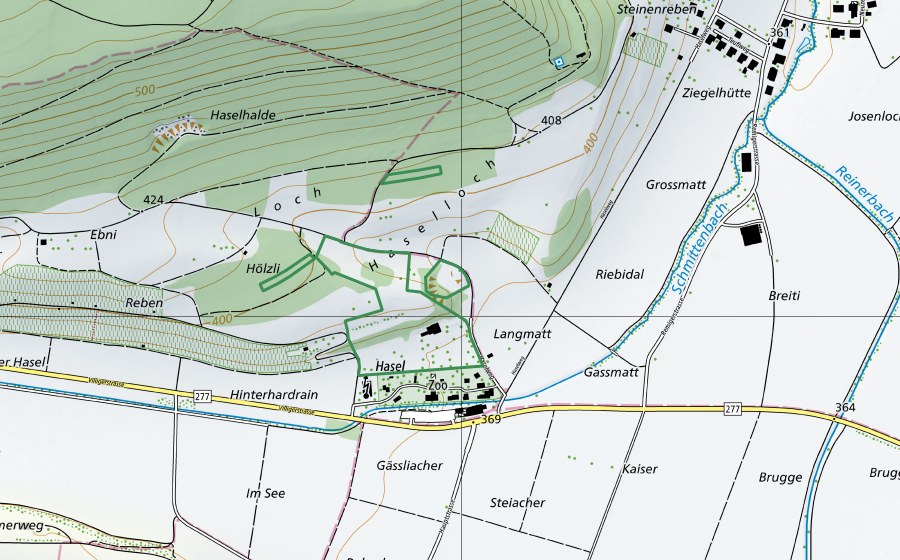 Carte nationale swisstopo avec le périmètre protégé de Grube Hasel (Réserve naturelle)