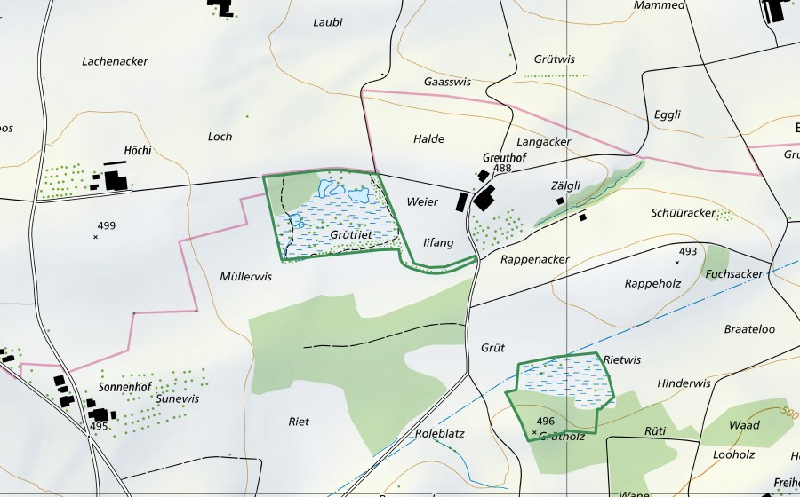 Landeskarte swisstopo mit dem Schutzperimeter von Grütried (Naturschutzgebiet)