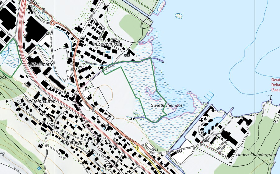 Carte nationale swisstopo avec le périmètre protégé de Gwattlischenmoos (Réserve naturelle)