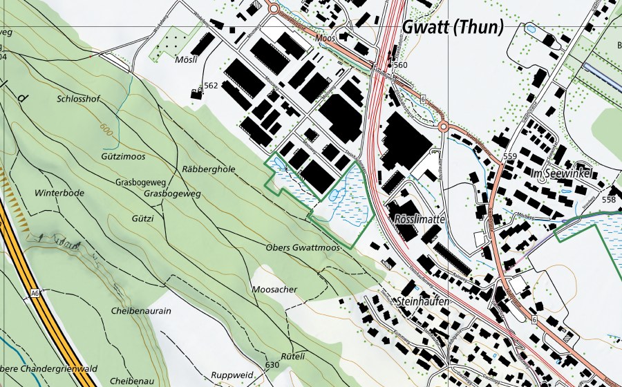 Carte nationale swisstopo avec le périmètre protégé de Gwattmösli (Réserve naturelle)