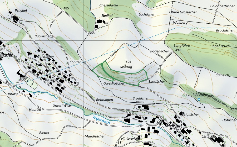 Landeskarte swisstopo mit dem Schutzperimeter von Gweslig (Naturschutzgebiet)