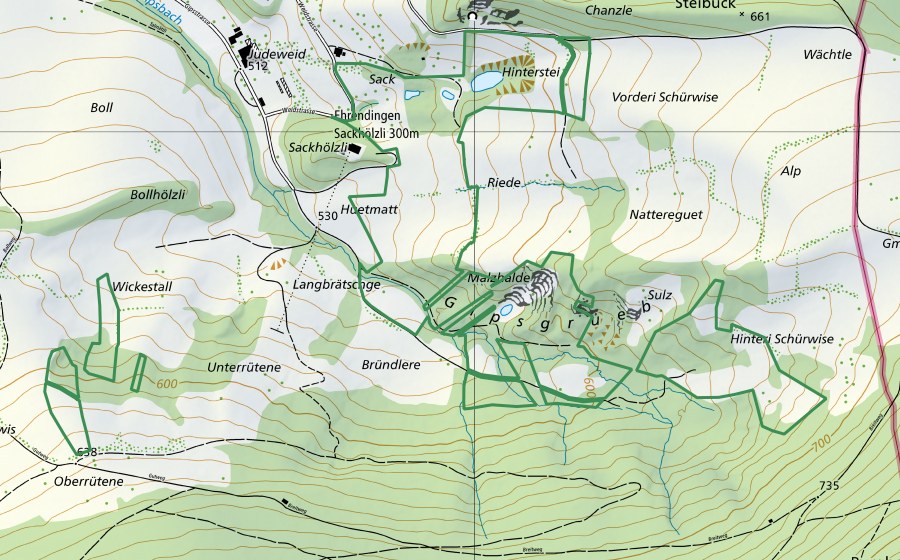 swisstopo national map showing the protected perimeter of Gypsgrube (Nature reserve)