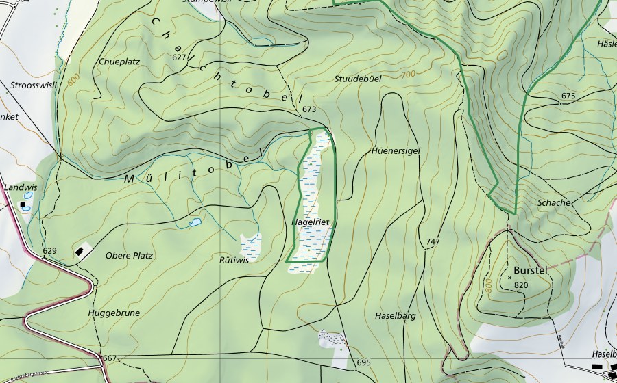 Carte nationale swisstopo avec le périmètre protégé de Hagelried (Réserve naturelle)
