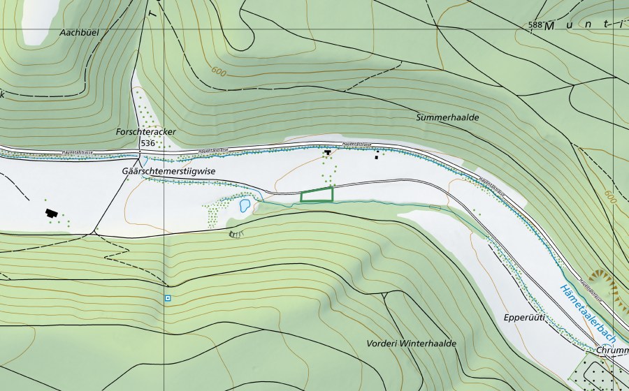 Landeskarte swisstopo mit dem Schutzperimeter von Hämetaalertal (Naturschutzgebiet)