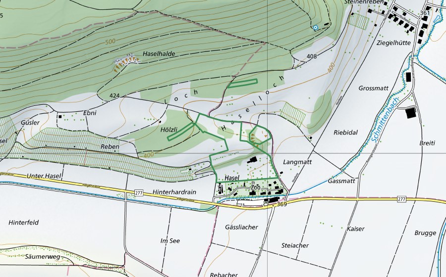 Landeskarte swisstopo mit dem Schutzperimeter von Haselhof (Naturschutzgebiet)