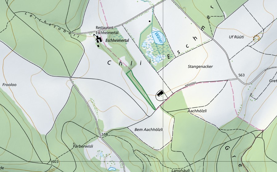swisstopo national map showing the protected perimeter of ​Hecke Chlii-Eschmertaal (Nature reserve)
