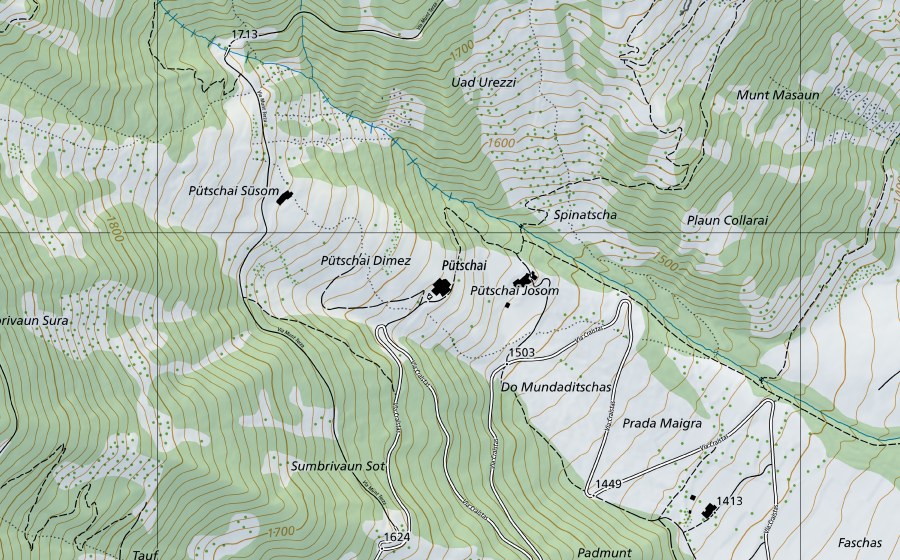 Landeskarte swisstopo mit dem Schutzperimeter von Hecken: Puoz - Prasüras (Naturschutzgebiet)