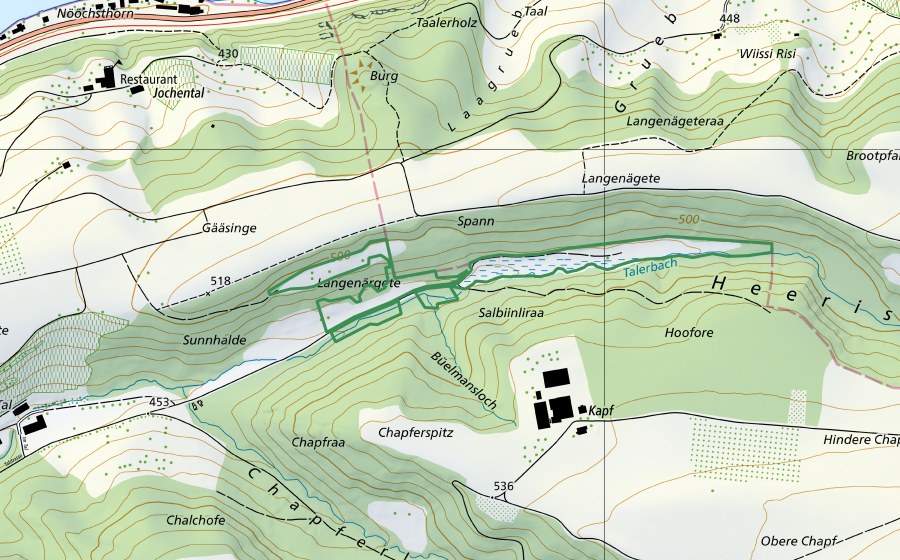 Landeskarte swisstopo mit dem Schutzperimeter von Heeristobel (Naturschutzgebiet)