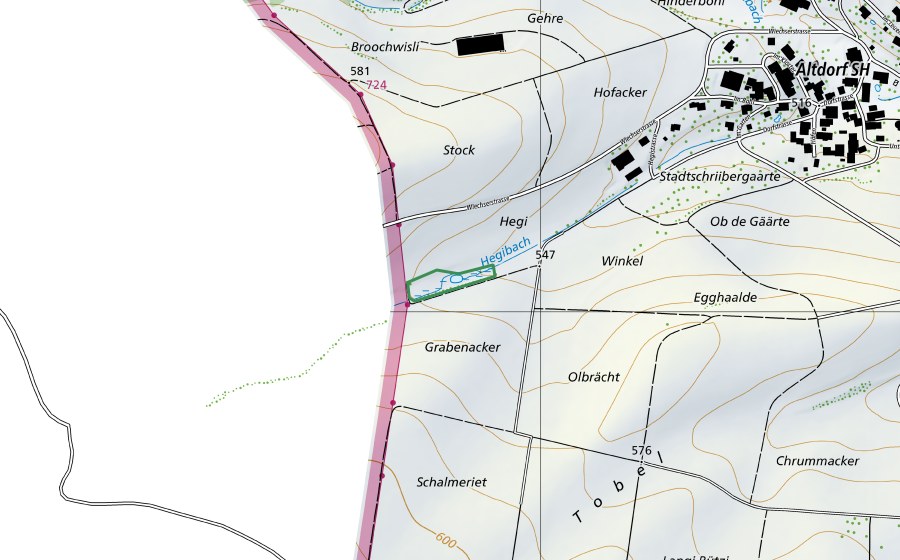 Carte nationale swisstopo avec le périmètre protégé de ​Hegi (Réserve naturelle)