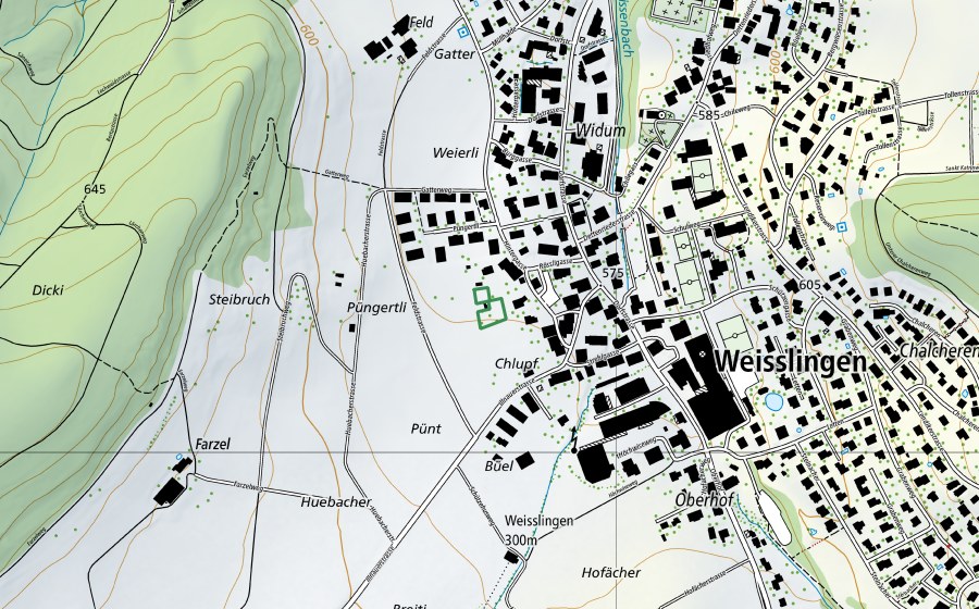 Landeskarte swisstopo mit dem Schutzperimeter von Hindergass (Naturschutzgebiet)