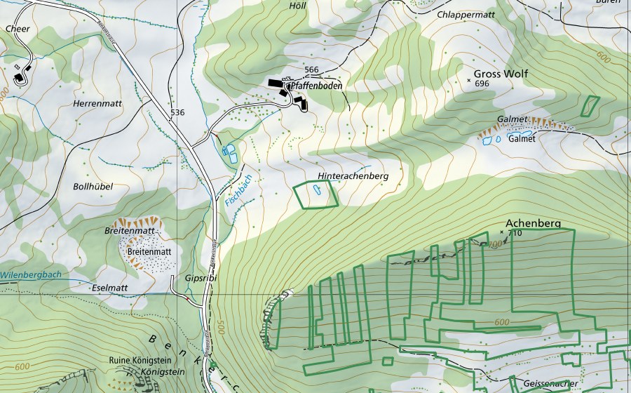 Landeskarte swisstopo mit dem Schutzperimeter von Hinteracheberg (Naturschutzgebiet)