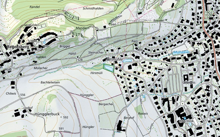 swisstopo national map showing the protected perimeter of Hirsmühleweiher (Nature reserve)