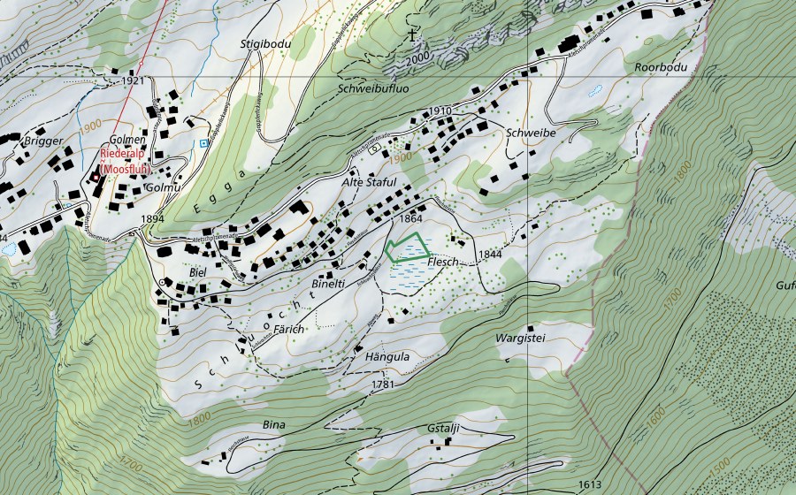 Landeskarte swisstopo mit dem Schutzperimeter von Hochmoor Flesch (Naturschutzgebiet)
