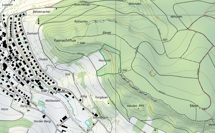Carte nationale swisstopo avec le périmètre protégé de Hochrüti (Réserve naturelle)