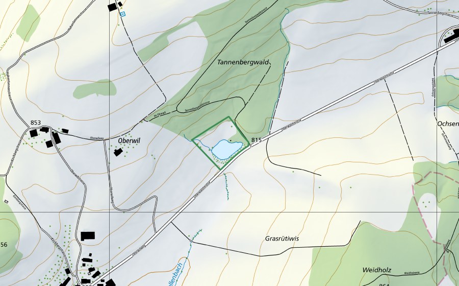 Carta nazionale swisstopo con il perimetro protetto di Hohfirst Weiher (Riserva naturale)