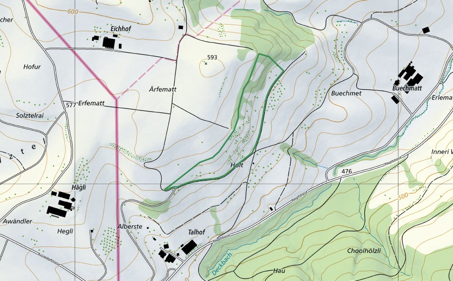 Landeskarte swisstopo mit dem Schutzperimeter von Holthübel (Naturschutzgebiet)