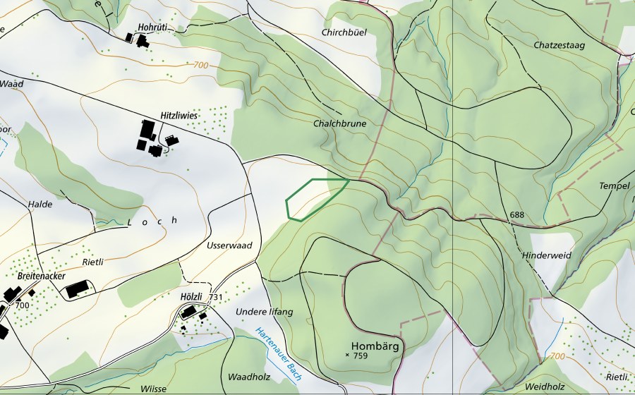 Landeskarte swisstopo mit dem Schutzperimeter von Homberg (Naturschutzgebiet)