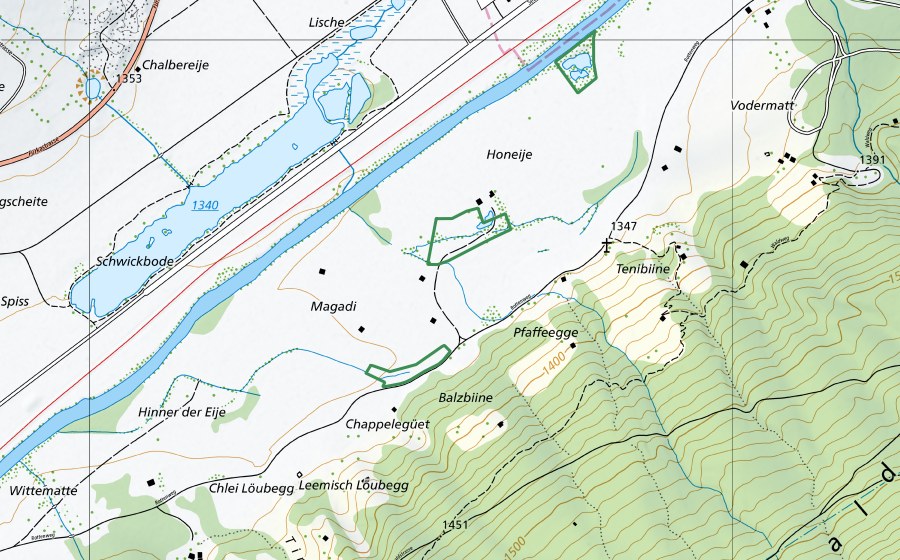 swisstopo national map showing the protected perimeter of Honeye-Magady (Nature reserve)