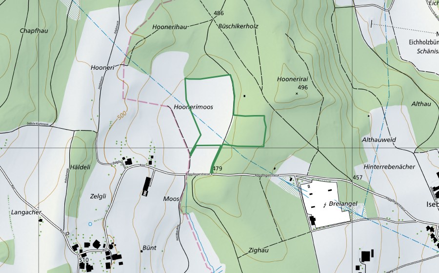 Carte nationale swisstopo avec le périmètre protégé de Hooneri (Réserve naturelle)