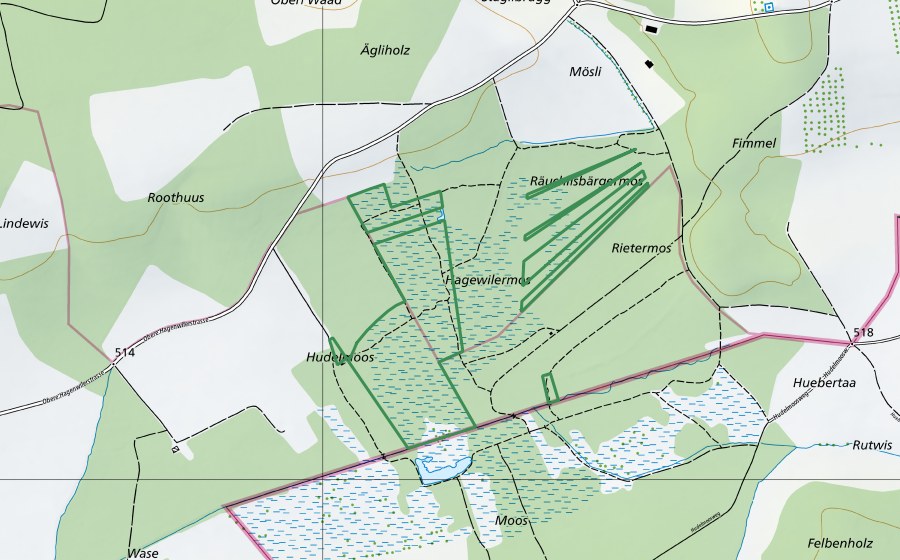 swisstopo national map showing the protected perimeter of Hudelmoos (Nature reserve)