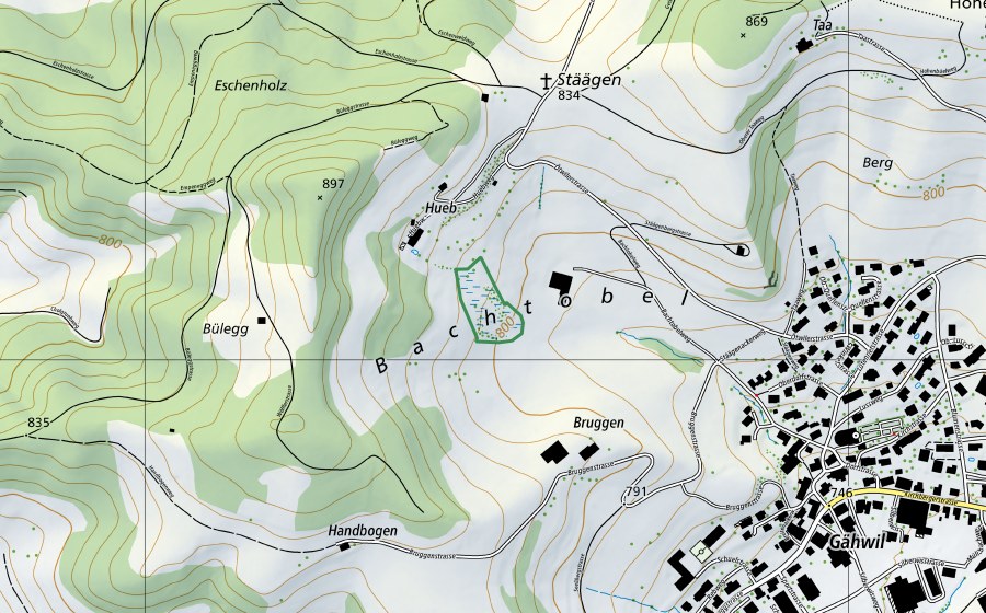 Carte nationale swisstopo avec le périmètre protégé de Hueb (Réserve naturelle)