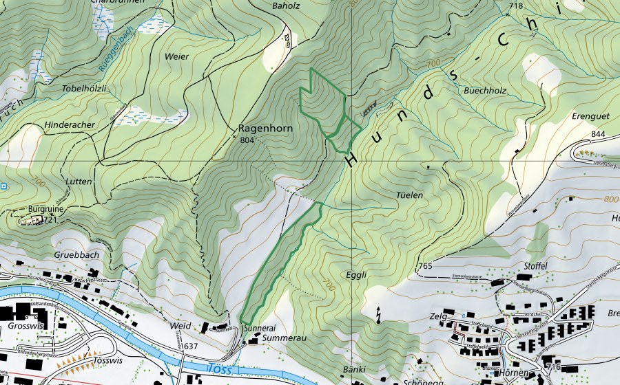 Carte nationale swisstopo avec le périmètre protégé de Hunds-Chilen (Réserve naturelle)