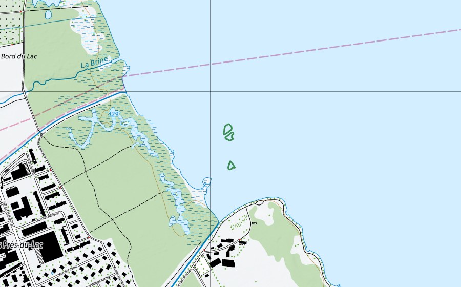 Landeskarte swisstopo mit dem Schutzperimeter von Ile des Vernes (Naturschutzgebiet)